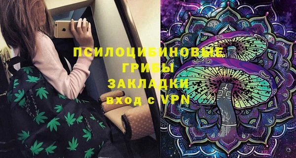 гидра Нязепетровск